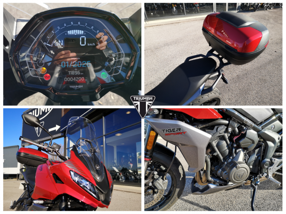 TRIUMPH TIGER SPORT 660